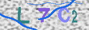 キャプチャ画像