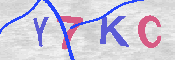 キャプチャ画像