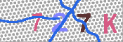 キャプチャ画像