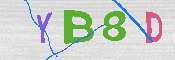 キャプチャ画像