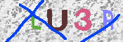 キャプチャ画像