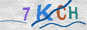キャプチャ画像