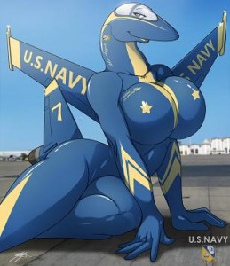 us navy
