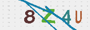 キャプチャ画像