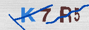 キャプチャ画像