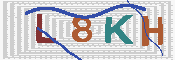 キャプチャ画像