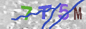 キャプチャ画像