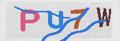 キャプチャ画像