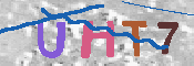 キャプチャ画像