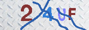 キャプチャ画像