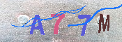 キャプチャ画像
