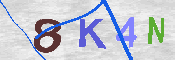 キャプチャ画像