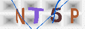 キャプチャ画像