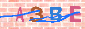 キャプチャ画像