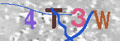 キャプチャ画像