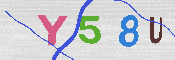 キャプチャ画像