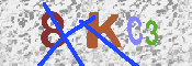 キャプチャ画像