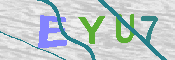 キャプチャ画像