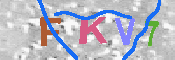 キャプチャ画像