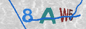 キャプチャ画像