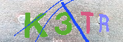 キャプチャ画像