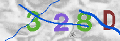 キャプチャ画像