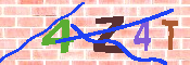 キャプチャ画像