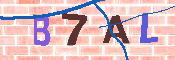 キャプチャ画像