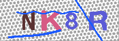 キャプチャ画像