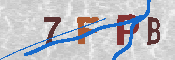 キャプチャ画像