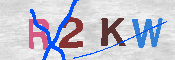 キャプチャ画像