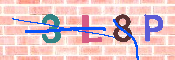 キャプチャ画像