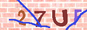 キャプチャ画像