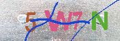 キャプチャ画像