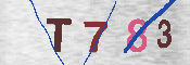 キャプチャ画像