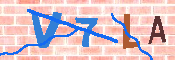 キャプチャ画像