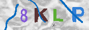 キャプチャ画像
