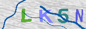 キャプチャ画像