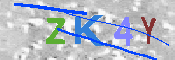 キャプチャ画像