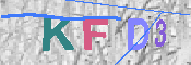 キャプチャ画像