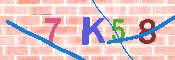 キャプチャ画像