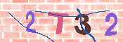 キャプチャ画像
