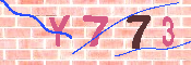 キャプチャ画像