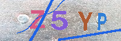 キャプチャ画像