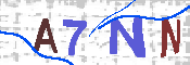 キャプチャ画像