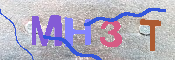 キャプチャ画像