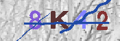 キャプチャ画像