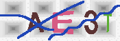 キャプチャ画像