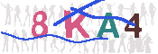 キャプチャ画像