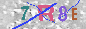 キャプチャ画像